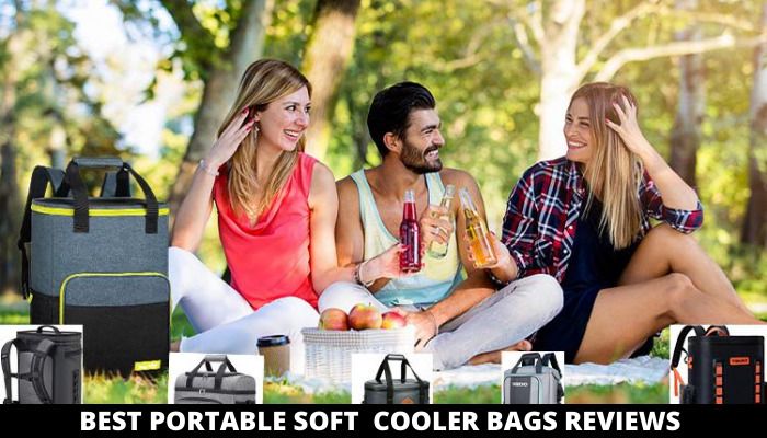 best portable soft cooler bags